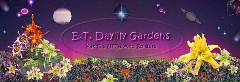 E.T. Daylily Gardens