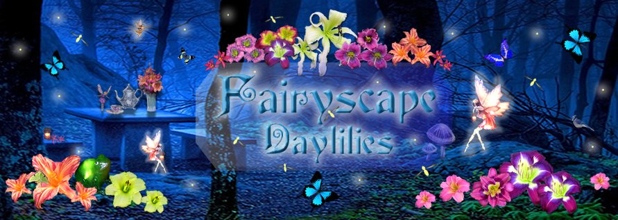 Fairyscape Daylilies
